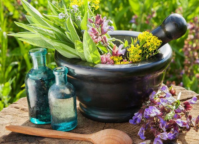 ۷ باور اشتباه درباره گیاهان دارویی و طب‌سنتی در همه‌گیری کرونا