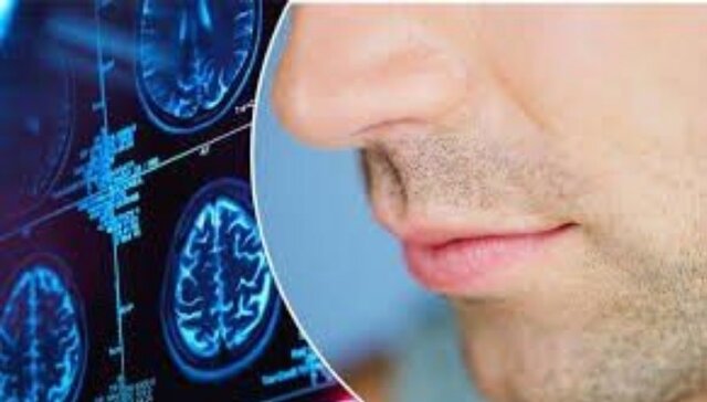 برای بازگشت حس بویایی از دست رفته چه کنیم؟