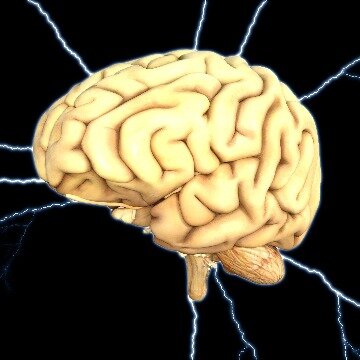 از دست دادن کمتر ماده خاکستری با یادگیری چند زبان